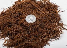 Tree Fern Fiber